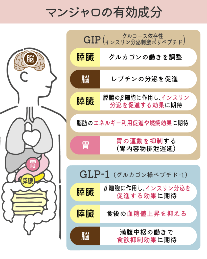 マンジャロの有効成分
