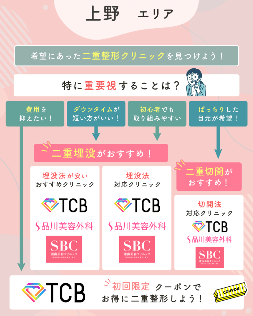 上野の二重整形チャート
