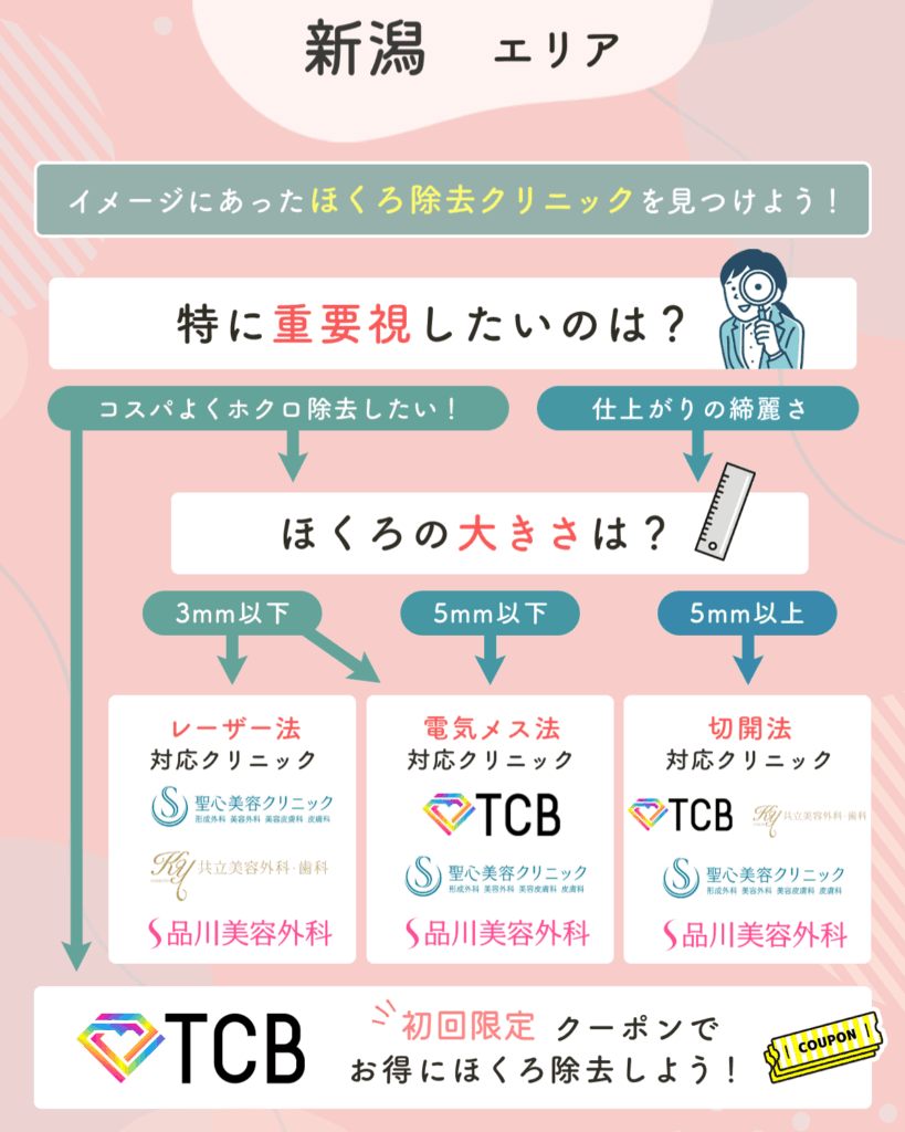 新潟のほくろ除去チャート