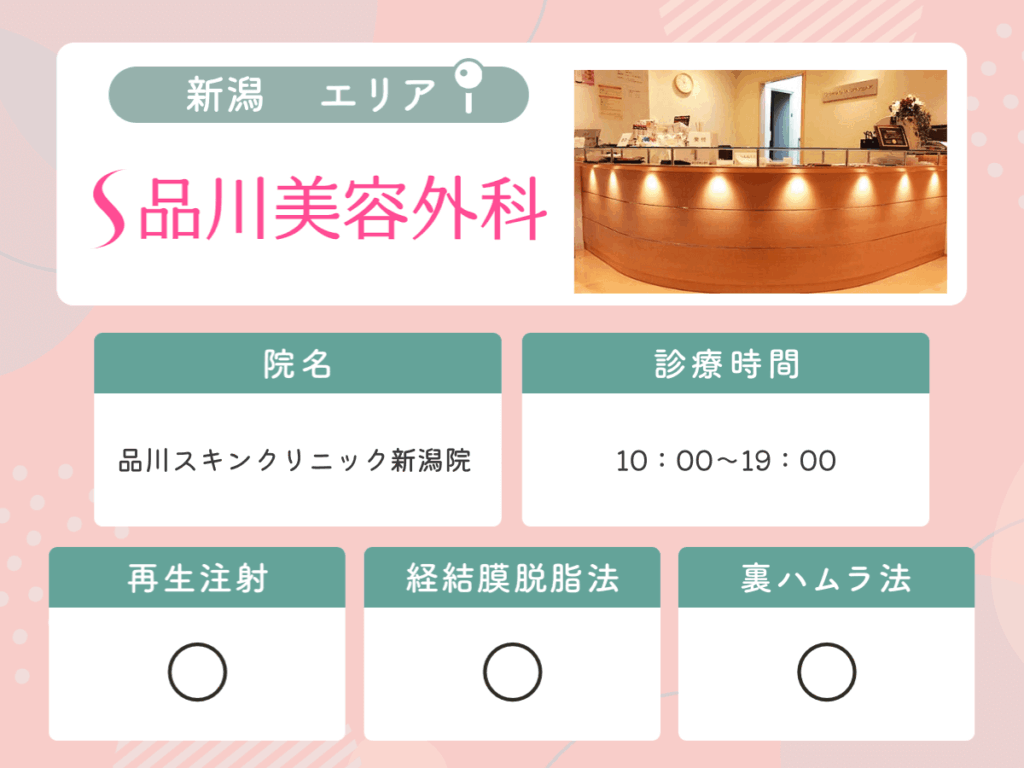 品川スキンクリニック新潟院